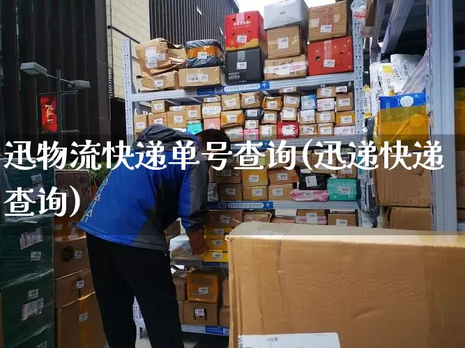迅物流快递单号查询(迅递快递查询)_https://www.senxinmaoyi.com_邮政编码_第1张