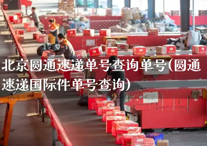 北京圆通速递单号查询单号(圆通速递国际件单号查询)_https://www.senxinmaoyi.com_快递查询_第1张