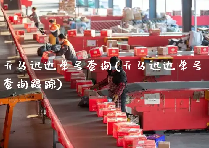 天马迅达单号查询(天马迅达单号查询跟踪)_https://www.senxinmaoyi.com_物流单号_第1张