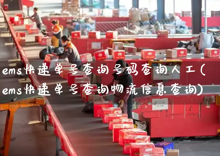 ems快递单号查询号码查询人工(ems快递单号查询物流信息查询)_https://www.senxinmaoyi.com_邮政编码_第1张