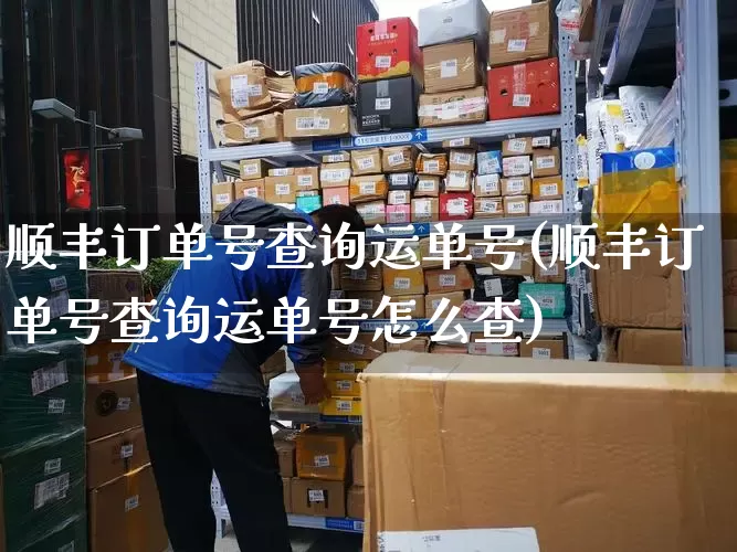 顺丰订单号查询运单号(顺丰订单号查询运单号怎么查)_https://www.senxinmaoyi.com_快递查询_第1张
