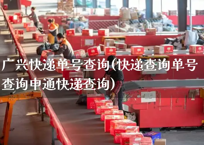 广兴快递单号查询(快递查询单号查询申通快递查询)_https://www.senxinmaoyi.com_物流单号_第1张