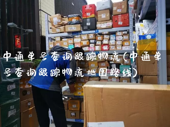 中通单号查询跟踪物流(中通单号查询跟踪物流地图路线)_https://www.senxinmaoyi.com_物流查询_第1张