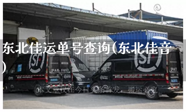 东北佳运单号查询(东北佳音)_https://www.senxinmaoyi.com_邮政编码_第1张