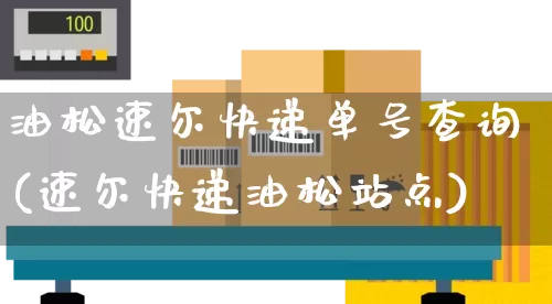 油松速尔快递单号查询(速尔快递油松站点)_https://www.senxinmaoyi.com_物流单号_第1张