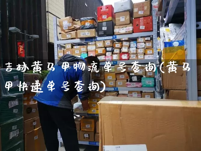 吉林黄马甲物流单号查询(黄马甲快递单号查询)_https://www.senxinmaoyi.com_物流单号_第1张