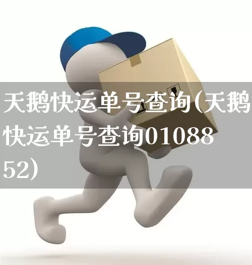 天鹅快运单号查询(天鹅快运单号查询0108852)_https://www.senxinmaoyi.com_快递查询_第1张