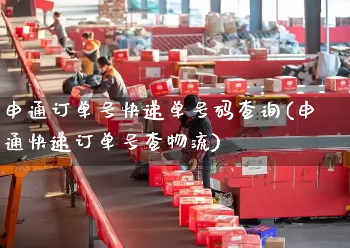 申通订单号快递单号码查询(申通快递订单号查物流)_https://www.senxinmaoyi.com_邮政编码_第1张