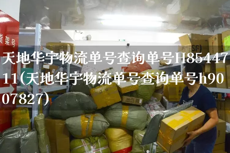 天地华宇物流单号查询单号H8544711(天地华宇物流单号查询单号h9007827)_https://www.senxinmaoyi.com_物流单号_第1张