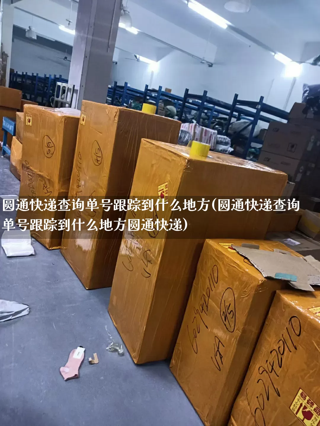圆通快递查询单号跟踪到什么地方(圆通快递查询单号跟踪到什么地方圆通快递)_https://www.senxinmaoyi.com_物流查询_第1张