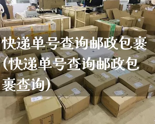 快递单号查询邮政包裹(快递单号查询邮政包裹查询)_https://www.senxinmaoyi.com_物流单号_第1张