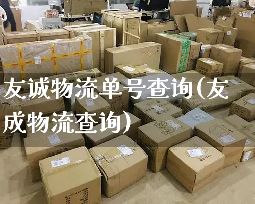 友诚物流单号查询(友成物流查询)_https://www.senxinmaoyi.com_快递查询_第1张