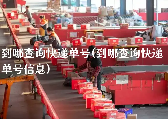 到哪查询快递单号(到哪查询快递单号信息)_https://www.senxinmaoyi.com_邮政编码_第1张