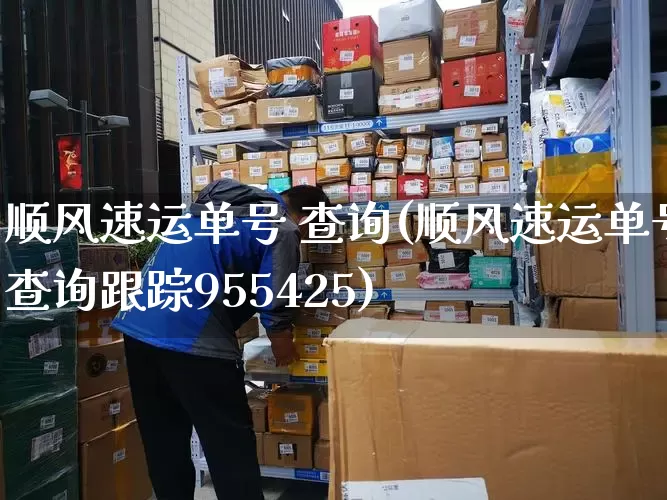 顺风速运单号 查询(顺风速运单号查询跟踪955425)_https://www.senxinmaoyi.com_快递查询_第1张
