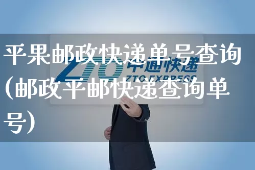 平果邮政快递单号查询(邮政平邮快递查询单号)_https://www.senxinmaoyi.com_邮政编码_第1张