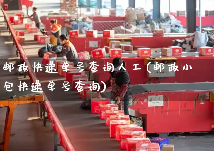邮政快递单号查询人工(邮政小包快递单号查询)_https://www.senxinmaoyi.com_物流单号_第1张