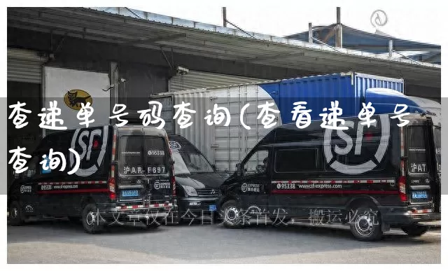 查递单号码查询(查看递单号查询)_https://www.senxinmaoyi.com_物流单号_第1张