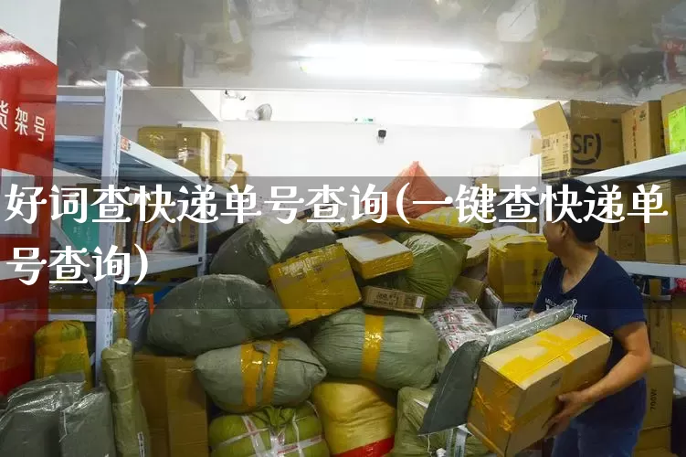 好词查快递单号查询(一键查快递单号查询)_https://www.senxinmaoyi.com_邮政编码_第1张