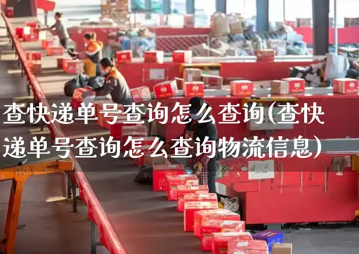 查快递单号查询怎么查询(查快递单号查询怎么查询物流信息)_https://www.senxinmaoyi.com_物流查询_第1张