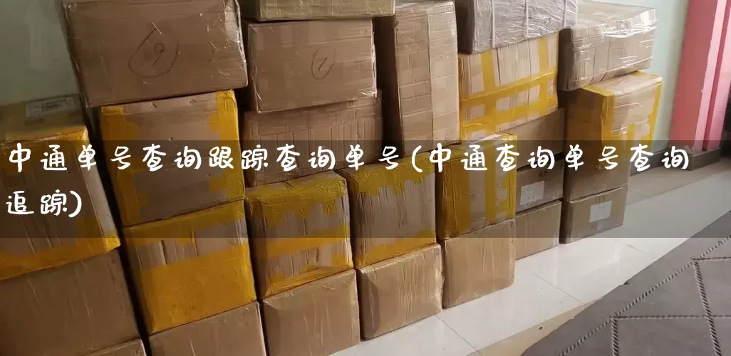中通单号查询跟踪查询单号(中通查询单号查询追踪)_https://www.senxinmaoyi.com_物流查询_第1张