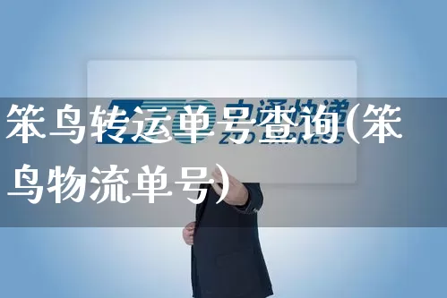 笨鸟转运单号查询(笨鸟物流单号)_https://www.senxinmaoyi.com_物流单号_第1张