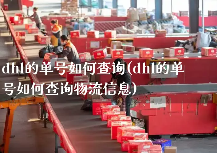 dhl的单号如何查询(dhl的单号如何查询物流信息)_https://www.senxinmaoyi.com_物流单号_第1张