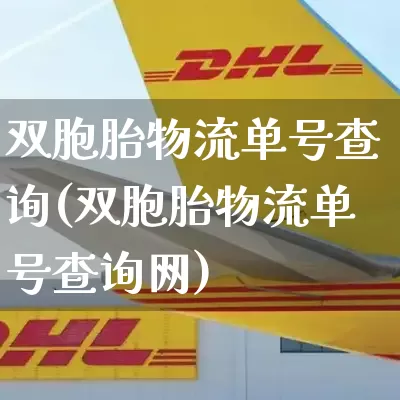 双胞胎物流单号查询(双胞胎物流单号查询网)_https://www.senxinmaoyi.com_快递查询_第1张