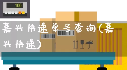 嘉兴快递单号查询(嘉兴快递)_https://www.senxinmaoyi.com_快递查询_第1张