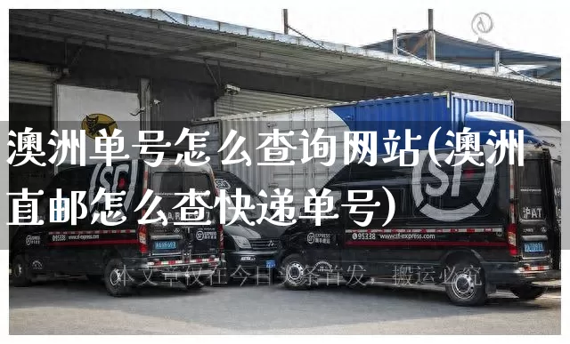 澳洲单号怎么查询网站(澳洲直邮怎么查快递单号)_https://www.senxinmaoyi.com_物流单号_第1张