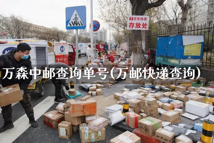 万森中邮查询单号(万邮快递查询)_https://www.senxinmaoyi.com_物流查询_第1张
