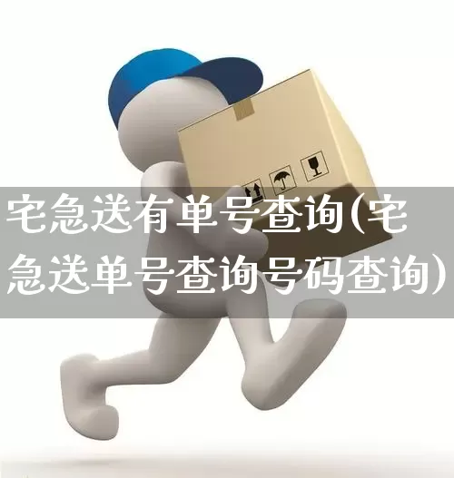 宅急送有单号查询(宅急送单号查询号码查询)_https://www.senxinmaoyi.com_物流单号_第1张