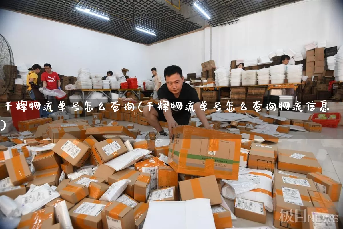 千辉物流单号怎么查询(千辉物流单号怎么查询物流信息)_https://www.senxinmaoyi.com_物流单号_第1张