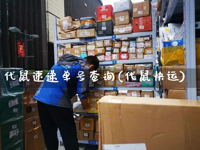 代鼠速递单号查询(代鼠快运)_https://www.senxinmaoyi.com_邮政编码_第1张
