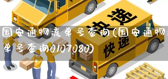 国安通物流单号查询(国安通物流单号查询0107080)_https://www.senxinmaoyi.com_物流单号_第1张