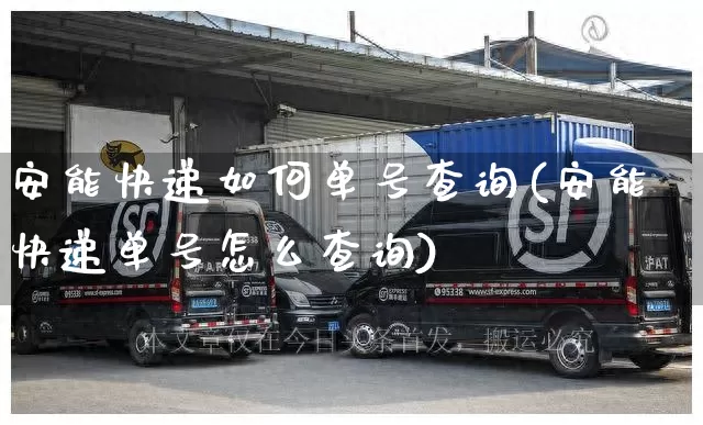 安能快递如何单号查询(安能快递单号怎么查询)_https://www.senxinmaoyi.com_物流单号_第1张