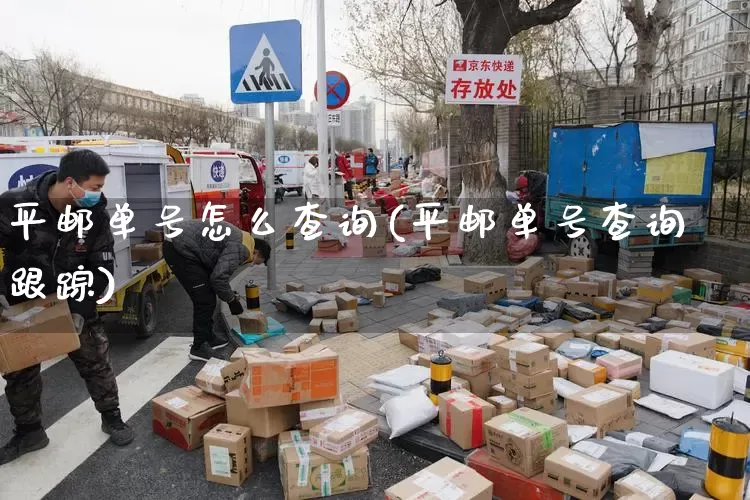 平邮单号怎么查询(平邮单号查询跟踪)_https://www.senxinmaoyi.com_物流单号_第1张