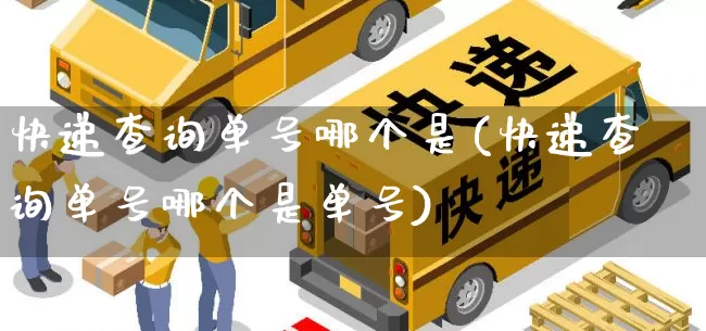 快递查询单号哪个是(快递查询单号哪个是单号)_https://www.senxinmaoyi.com_邮政编码_第1张