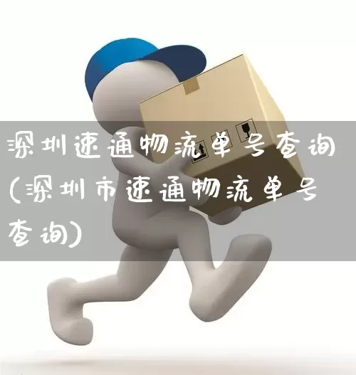 深圳速通物流单号查询(深圳市速通物流单号查询)_https://www.senxinmaoyi.com_物流查询_第1张