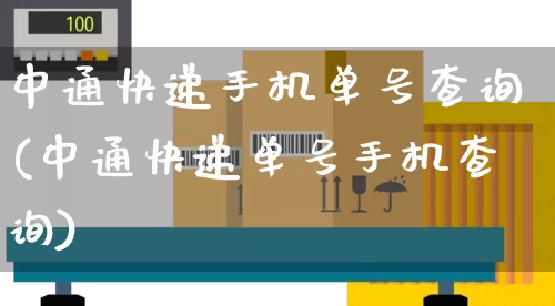 中通快递手机单号查询(中通快递单号手机查询)_https://www.senxinmaoyi.com_物流单号_第1张