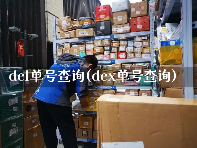 del单号查询(dex单号查询)_https://www.senxinmaoyi.com_物流查询_第1张