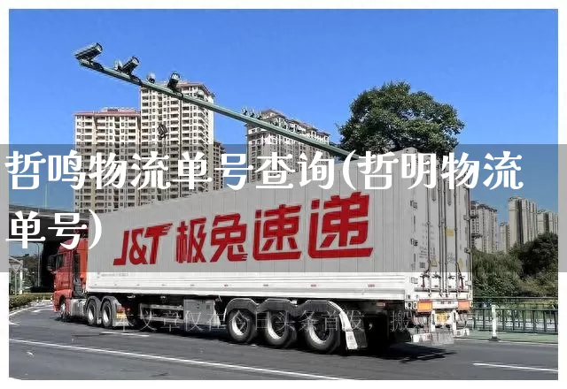 哲鸣物流单号查询(哲明物流单号)_https://www.senxinmaoyi.com_邮政编码_第1张