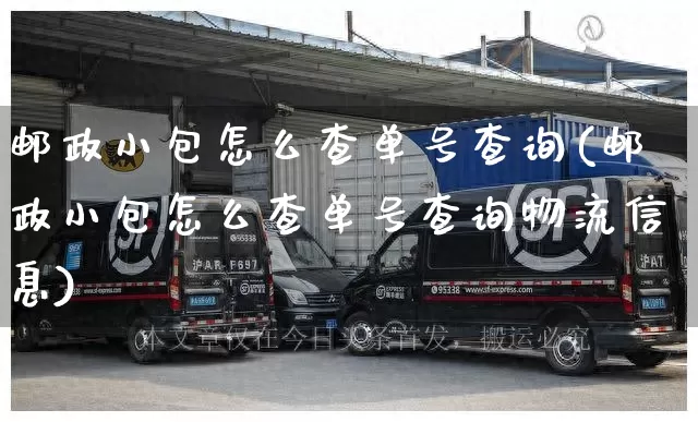 邮政小包怎么查单号查询(邮政小包怎么查单号查询物流信息)_https://www.senxinmaoyi.com_物流单号_第1张