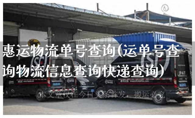 惠运物流单号查询(运单号查询物流信息查询快递查询)_https://www.senxinmaoyi.com_邮政编码_第1张