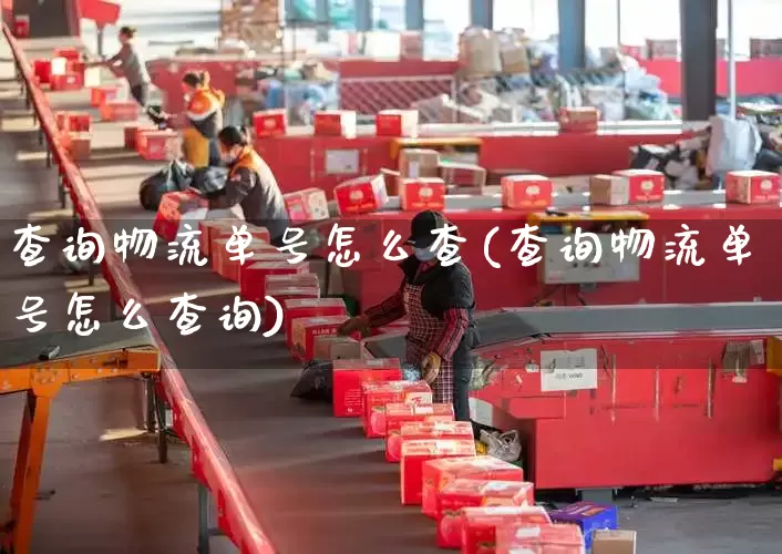查询物流单号怎么查(查询物流单号怎么查询)_https://www.senxinmaoyi.com_物流单号_第1张