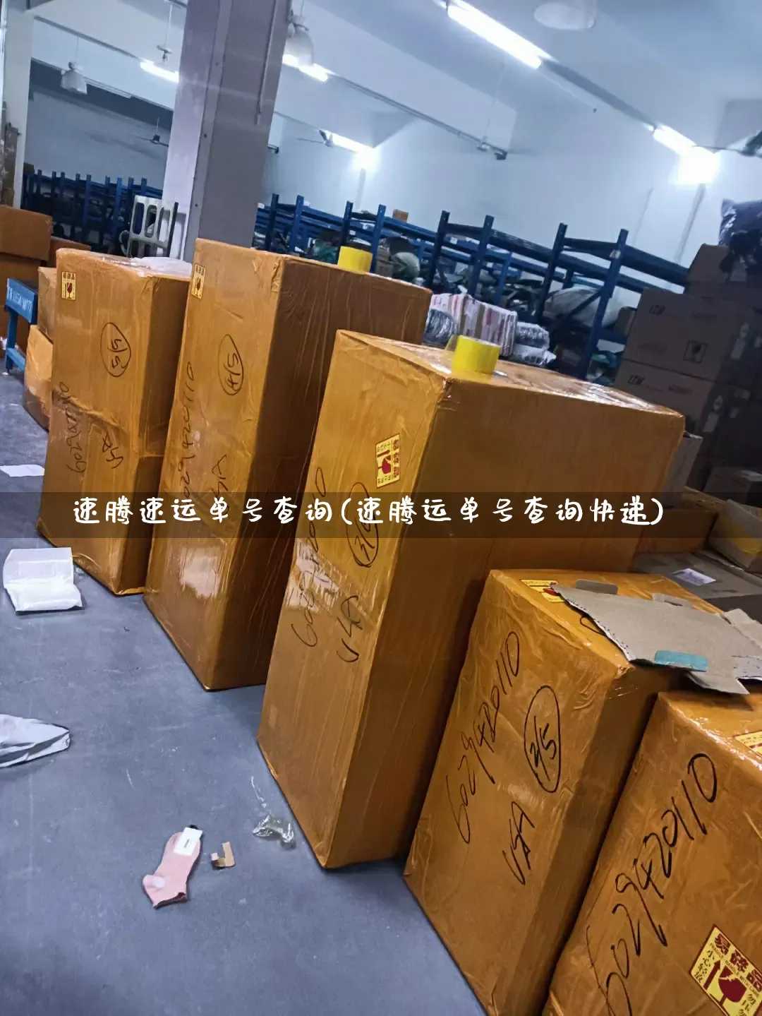 速腾速运单号查询(速腾运单号查询快递)_https://www.senxinmaoyi.com_物流查询_第1张