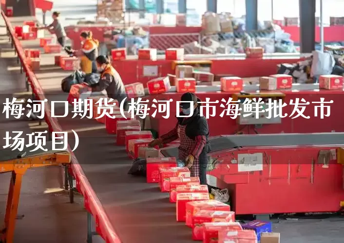 梅河口期货(梅河口市海鲜批发市场项目)_https://www.senxinmaoyi.com_物流查询_第1张