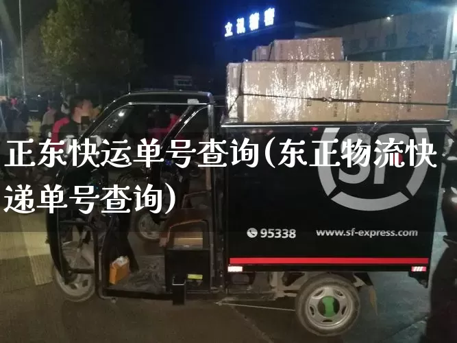 正东快运单号查询(东正物流快递单号查询)_https://www.senxinmaoyi.com_快递查询_第1张