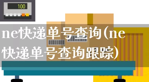 ne快递单号查询(ne快递单号查询跟踪)_https://www.senxinmaoyi.com_物流单号_第1张