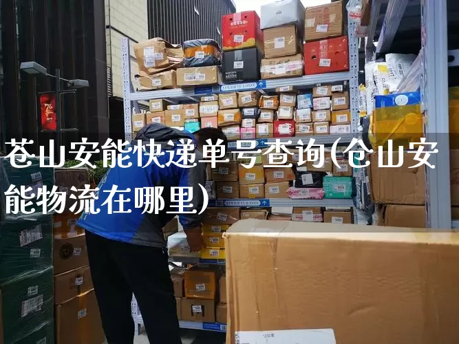 苍山安能快递单号查询(仓山安能物流在哪里)_https://www.senxinmaoyi.com_物流单号_第1张