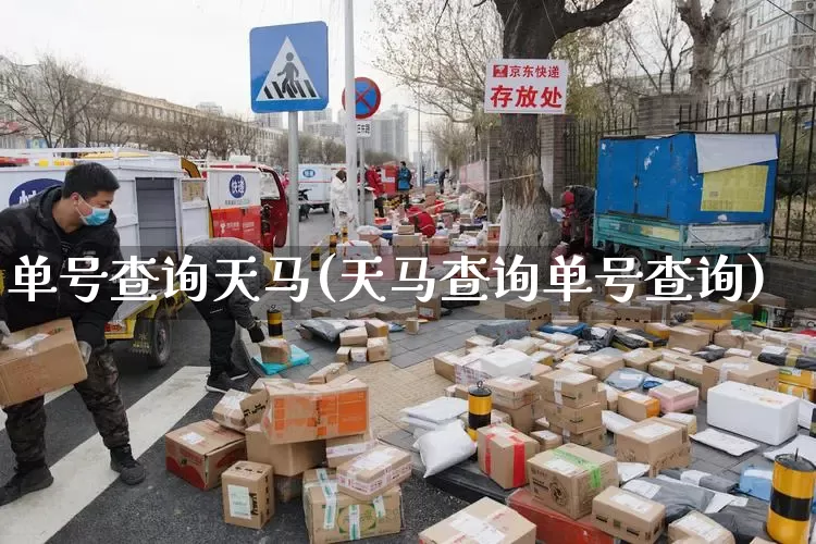单号查询天马(天马查询单号查询)_https://www.senxinmaoyi.com_快递查询_第1张